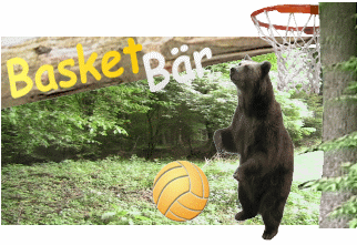 Basket Bär