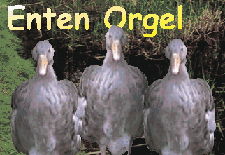 Enten Orgel